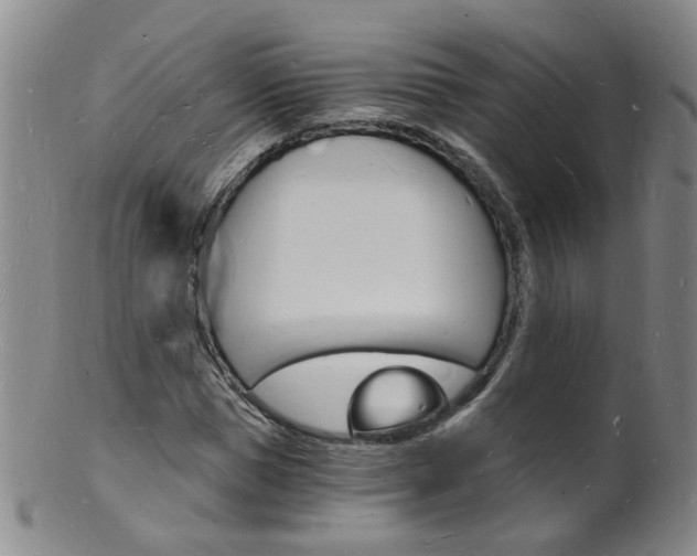 X0000101670921200807101046