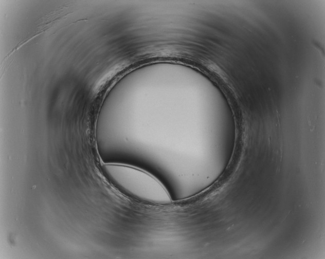 X0000101670922200807101046