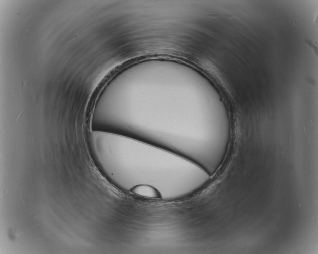 X0000101670924200807101046