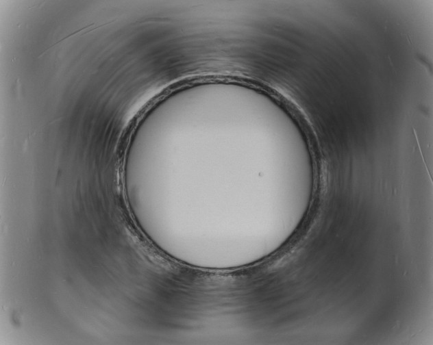 X0000101670925200807101046