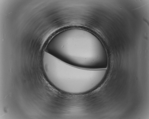 X0000101670926200807101046
