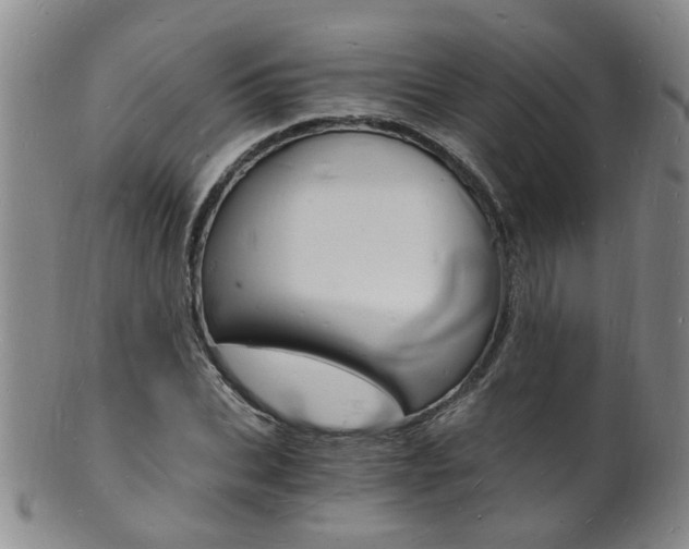 X0000101670927200807101046