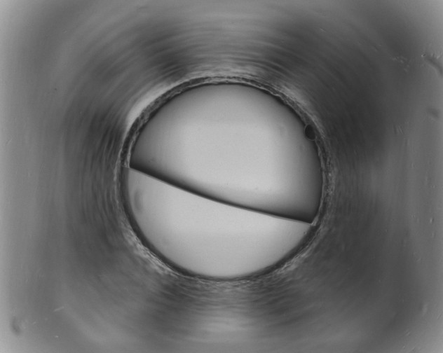 X0000101670928200807101046