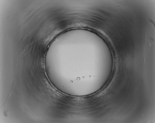 X0000101670929200807101046