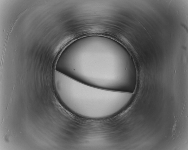 X0000101670930200807101046