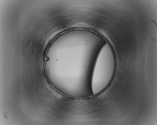 X0000101670931200807101046