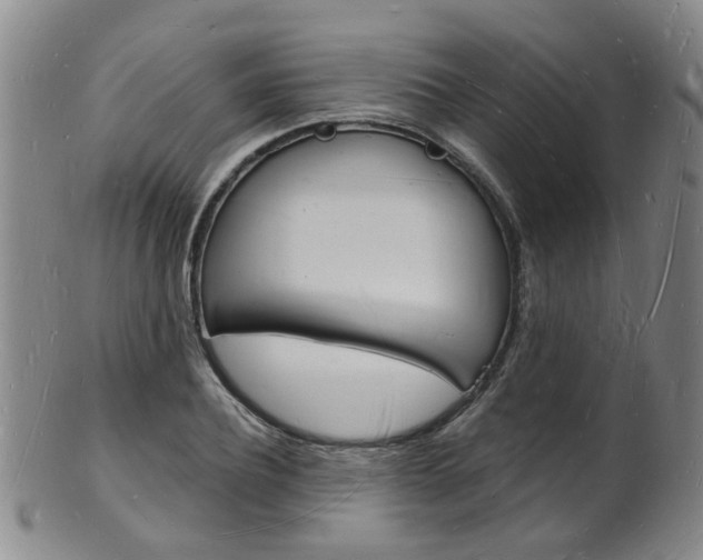 X0000101670932200807101046