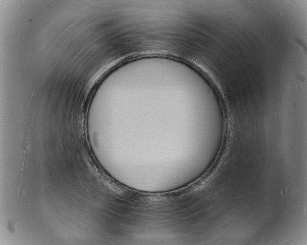 X0000101670933200807101046