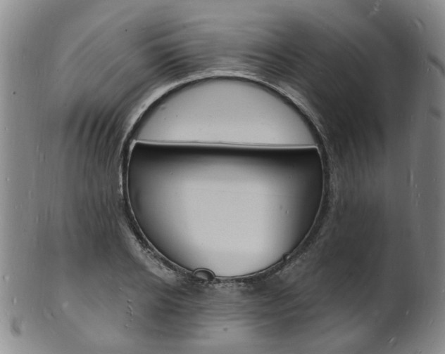 X0000101670934200807101046