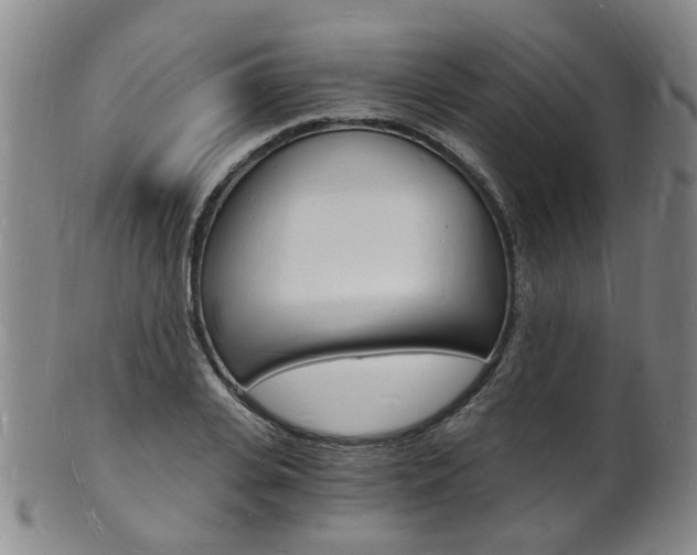 X0000101670935200807101046