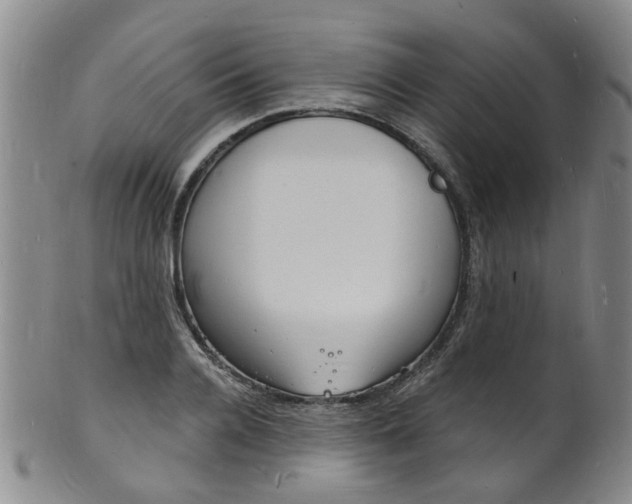 X0000101670936200807101046