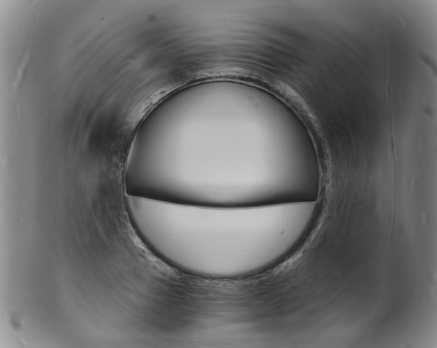 X0000101670937200807101046