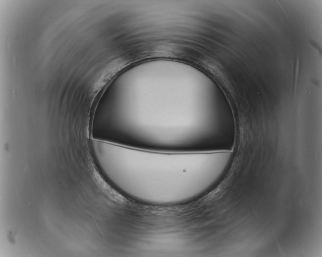 X0000101670938200807101046