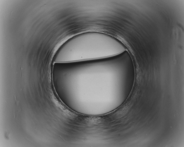 X0000101670939200807101046
