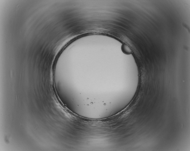 X0000101670940200807101046