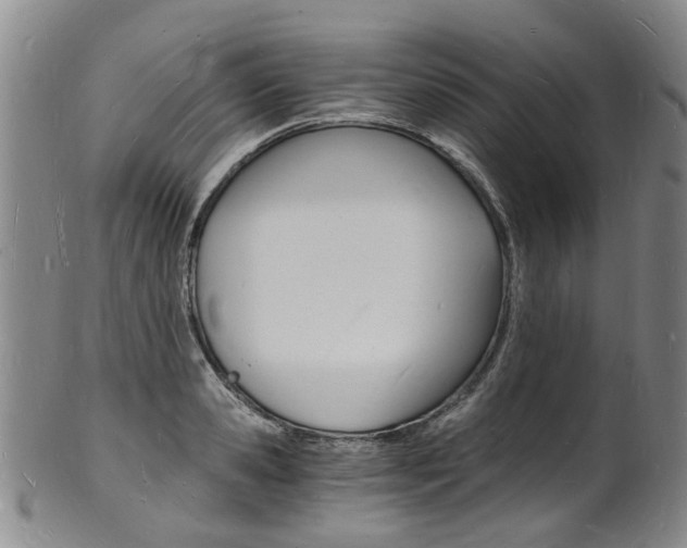 X0000101670941200807101046