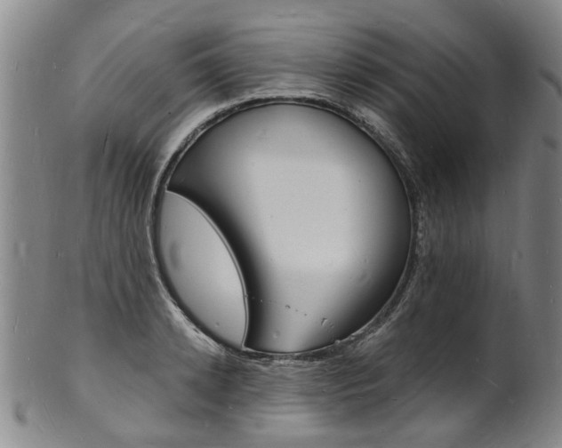 X0000101670942200807101046