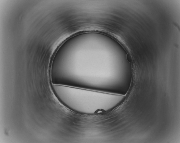X0000101670943200807101046