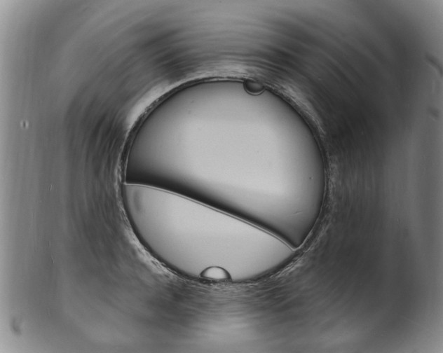 X0000101670944200807101046