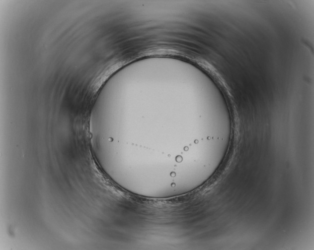 X0000101670945200807101046