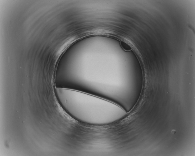 X0000101670946200807101046