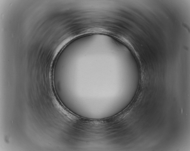 X0000101670947200807101046