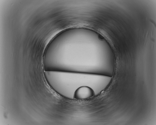X0000101670948200807101046
