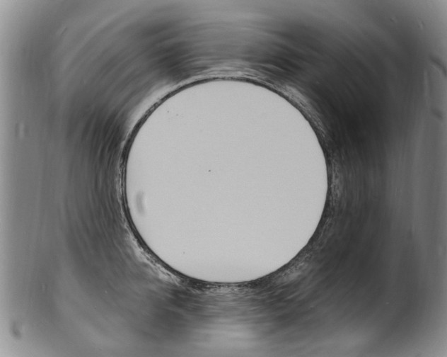 X0000101670950200807101046