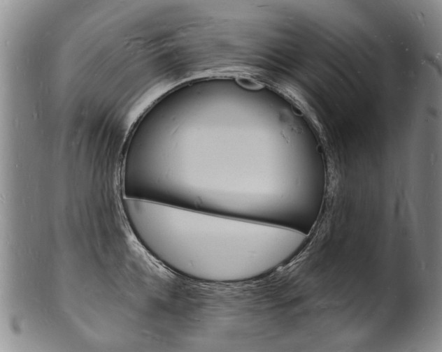 X0000101670952200807101046
