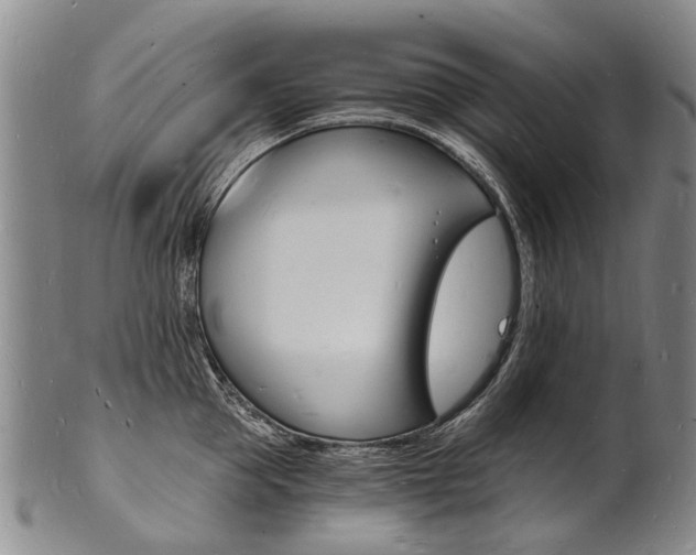 X0000101670953200807101046