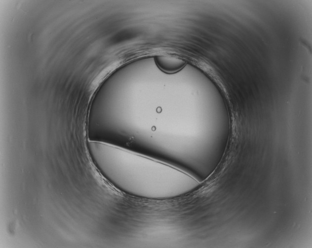 X0000101670954200807101046