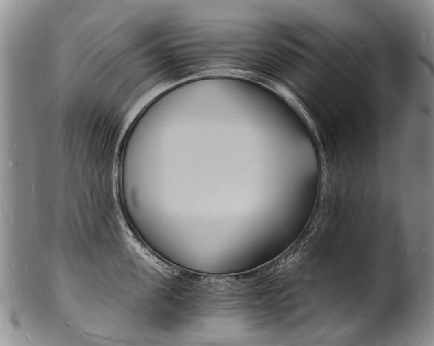 X0000101670955200807101046