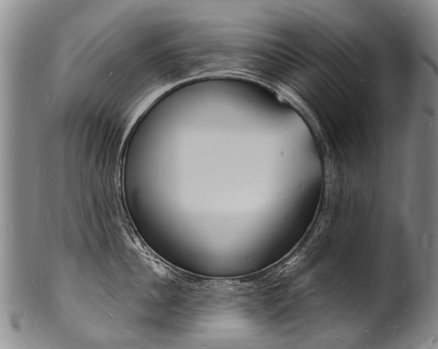 X0000101670956200807101046