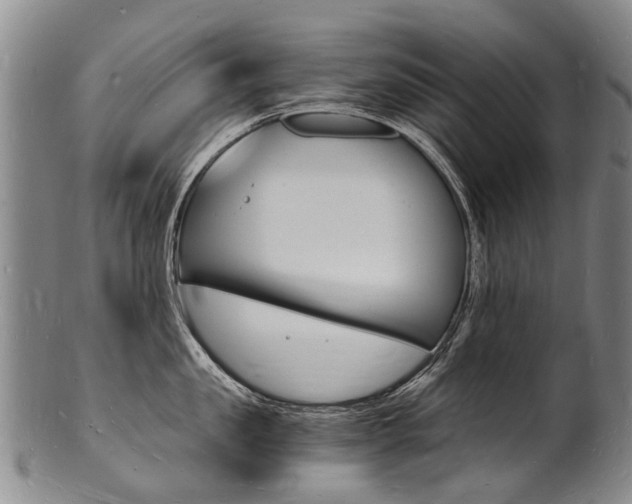 X0000101670957200807101046