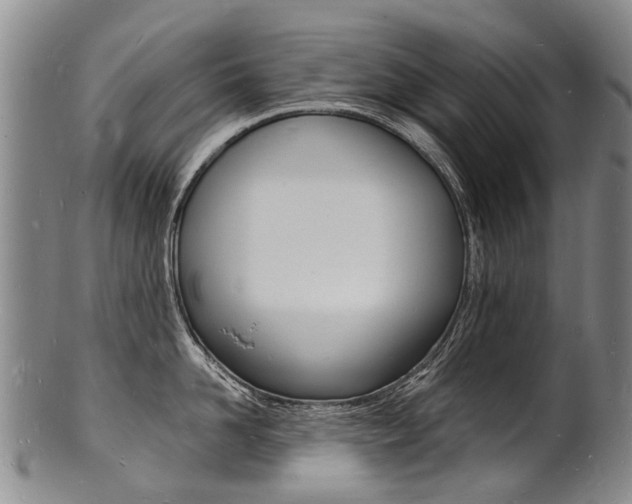 X0000101670958200807101046