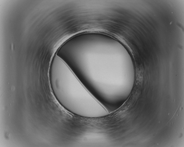 X0000101670959200807101046