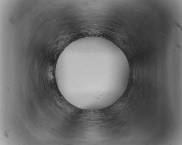 X0000101670962200807101046