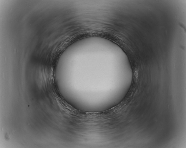 X0000101670963200807101046