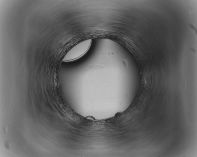 X0000101670964200807101045