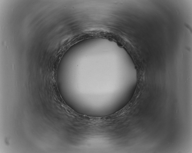 X0000101670965200807101045