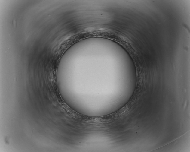 X0000101670966200807101045