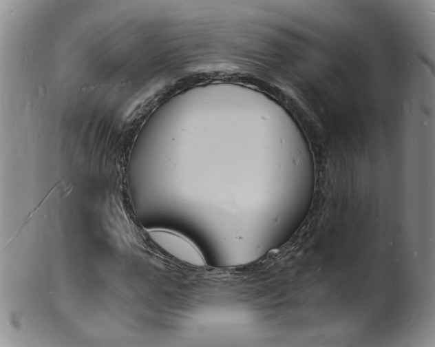X0000101670967200807101045