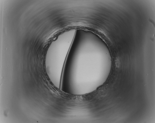 X0000101670968200807101045