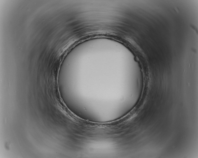 X0000101670969200807101045