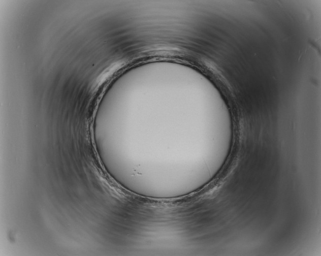 X0000101670970200807101045