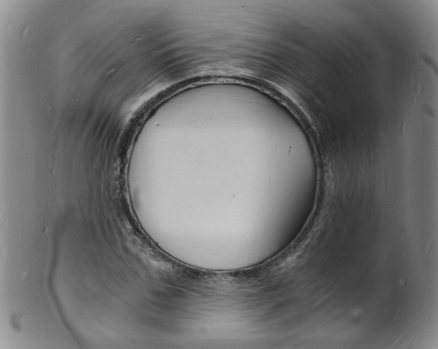 X0000101670971200807101045