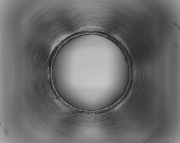 X0000101670973200807101045