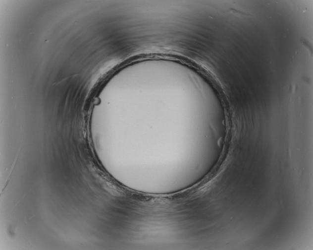 X0000101670974200807101045