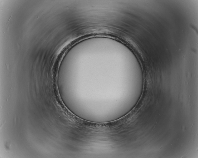 X0000101670975200807101045