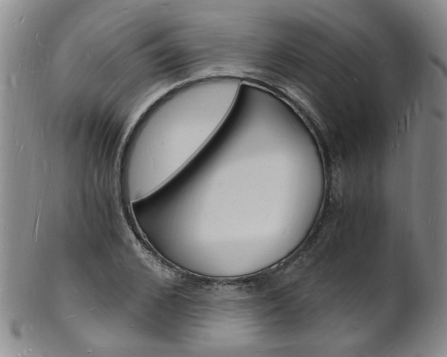 X0000101670976200807101045
